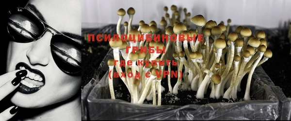 эйфоретик Аркадак