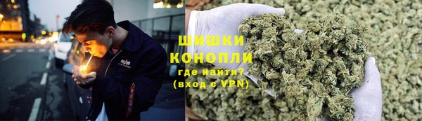 эйфоретик Аркадак
