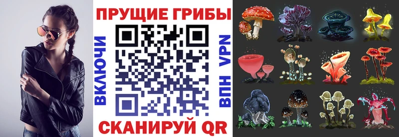 Галлюциногенные грибы GOLDEN TEACHER  Купить закладки  Нефтекумск 